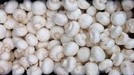 قیمت قارچ در میادین میوه و تره بار+جدول قیمت