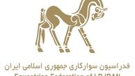 قائم مقام معاونت فنی فدراسیون سوارکاری معرفی شد