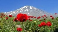 ابهام در موضوع واگذاری بخشی از کوه دماوند/ نامه نگاری محیط زیست با رییس دستگاه قضا
