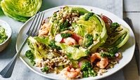 طرز تهیه سالاد مرغ و کاهو مجلسی به 2 روش با سس ویژه