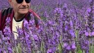 علی عمرانی در میان گلهای بنفش + عکس