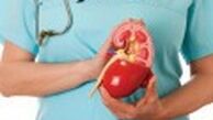 مواد غذایی مفید برای کلیه‌ها