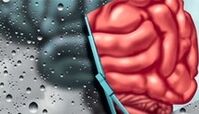 آلزایمر ۳ نوع دارد