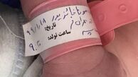ارسطو پایتخت هم پدر شد + عکس