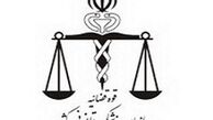 پزشکی قانونی در خصوص مرگ ناشی از سرمازدگی و گازگرفتگی هشدار داد