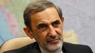 ولایتی: مذاکره ایران با دوستان روسی سابقه طولانی دارد 