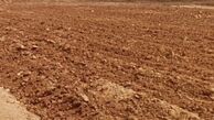 کاشت سیر و پیاز در یک تپه باستانی تاریخی ! | ماموران میراث فرهنگی در خواب