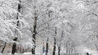 هواشناسی ایران ۱۴۰۰/۰۹/۰۳؛ بارش باران و برف ۵ روزه در ۱۴ استان/ هشدار سیلاب و کولاک برف در برخی مناطق کشور