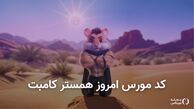 رمز کد مورس  ۳۱ مرداد همستر کامبت اینجاست !
