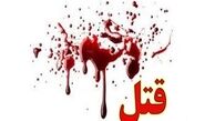 مادرزن قربانی داماد طمع کار شد