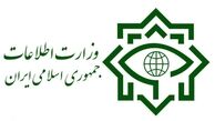 وزارت اطلاعات فعالیت مدیران دوتابعیتی در پست‌های حساس و مدیریتی را رد کرد