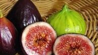 از خواص معجزه آسای انجیر چه می دانید؟