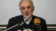 صالحی: ایران ۲ نیروگاه هسته‌ای دیگر در بوشهر می‌سازد