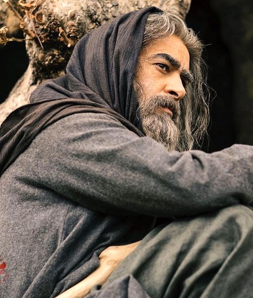 شهاب حسینی رو با ریش و سیبیل و موی بلند دیدید؟ + عکس