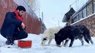 غذا دادن آقای بازیگر به سگها در هوای برفی + عکس