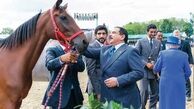 کدام اسب شاه بحرین را به لندن کشاند؟