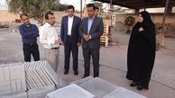 ۵۸ درصد اماکن روستایی دشتی مقاوم سازی شده‌اند