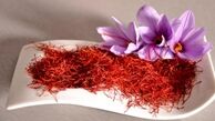 مرگ تدریجی زعفران ایرانی در سایه قاچاق 