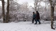 بارش برف در استان البرز آغاز شد