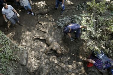 2015-06-16.Ry8HUAg