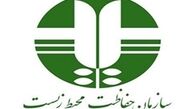 معاون و کارمند محیط زیست استان تهران بازداشت شدند