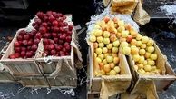 غیر واقعی بودن نرخ اتحادیه میادین میوه تایید شد