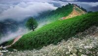 خنک ترین جای ایران در تابستان این 10 شهر هستند
