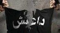 ۴ سال زندان برای انتشار پرچم داعش