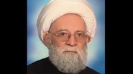 آیت‌الله فیض مشکینی دار فانی را وداع گفت