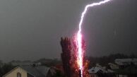 برخورد رعد و برق با درختان+ فیلم 
