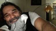 پرنده خانگی داریوش سلیمی + عکس