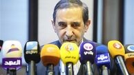 ولایتی: انقلاب اسلامی در ایران متعلق به همه جهان اسلام است