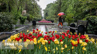 باران در راه است