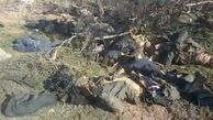 کشته‌شدن ۴۵ داعشی و کشف ده‌ها بمب در اطراف بغداد