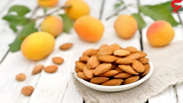 فواید شگفت انگیز هسته زردآلو