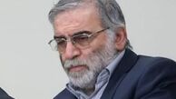 درخواست ایران برای شناسایی و تعقیب عاملان ترور شهید فخری‌زاده
