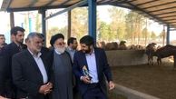 افزایش تولید محصولات پروتئینی با توسعه دامپروری نوین