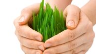 بسترسازی برای کاهش وابستگی واردات محصولات غذایی