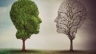 تلاش برای بازسازی دوقطبی «سازش- مقاومت» و «حقوقدان- سرهنگ» برای انتخابات ریاست‎جمهوری 96