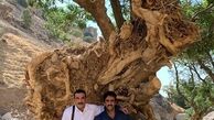 پوریا پورسرخ و آقای بازیگر در زیر درخت کهنسال + عکس