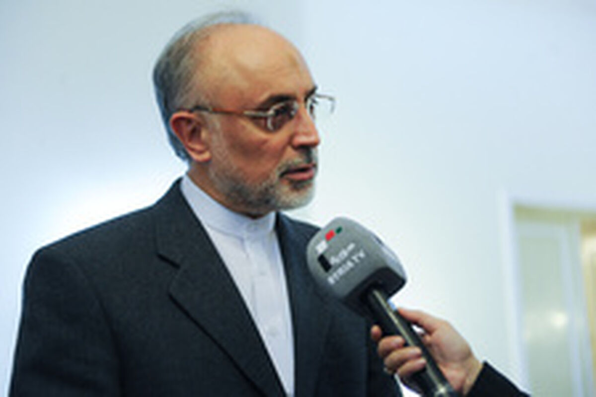 اظهارات علی‌اکبر صالحی درباره دیپلمات دستگیرشده درایران