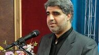 تبارشناسی فرهنگی اقتصاد مقاومتی