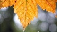 کاهش ۲۵ درصدی بارش در استان تهران