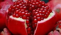 کدام میوه ها برای تقویت سلامت بدن در فصل زمستان مفیدند؟