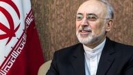 در صورت شکست برجام، شرکای ایران متحمل ضرر فراوانی می شوند