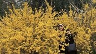 مژده لواسانی در میان گلها + عکس