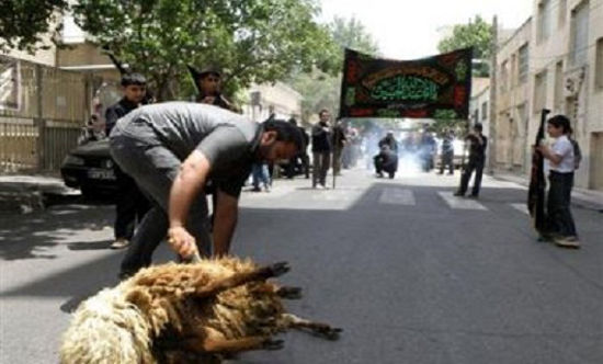 قربانی‌های عجیب در مراسم محرم !