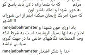 فخرفروشی عضو زن شورای شهر تهراندر فضای مجازی جنجال به پا کرد + عکس