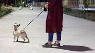 پارک یا توالت عمومی سگ‌ها؟