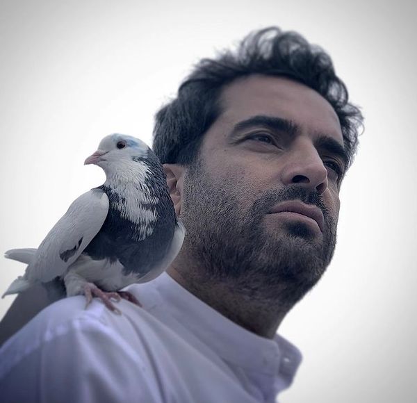 کبوتر خوشبختی منوچهر هادی + عکس